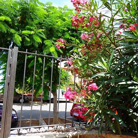 Ferienapartment Canoa Rosalva Appartement Puerto de la Cruz (Tenerife)